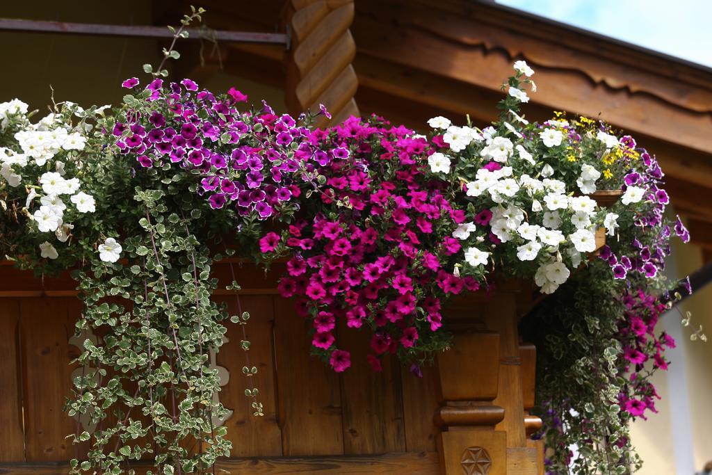 Alpenecho Apartment Neustift im Stubaital Luaran gambar