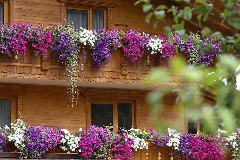 Alpenecho Apartment Neustift im Stubaital Luaran gambar