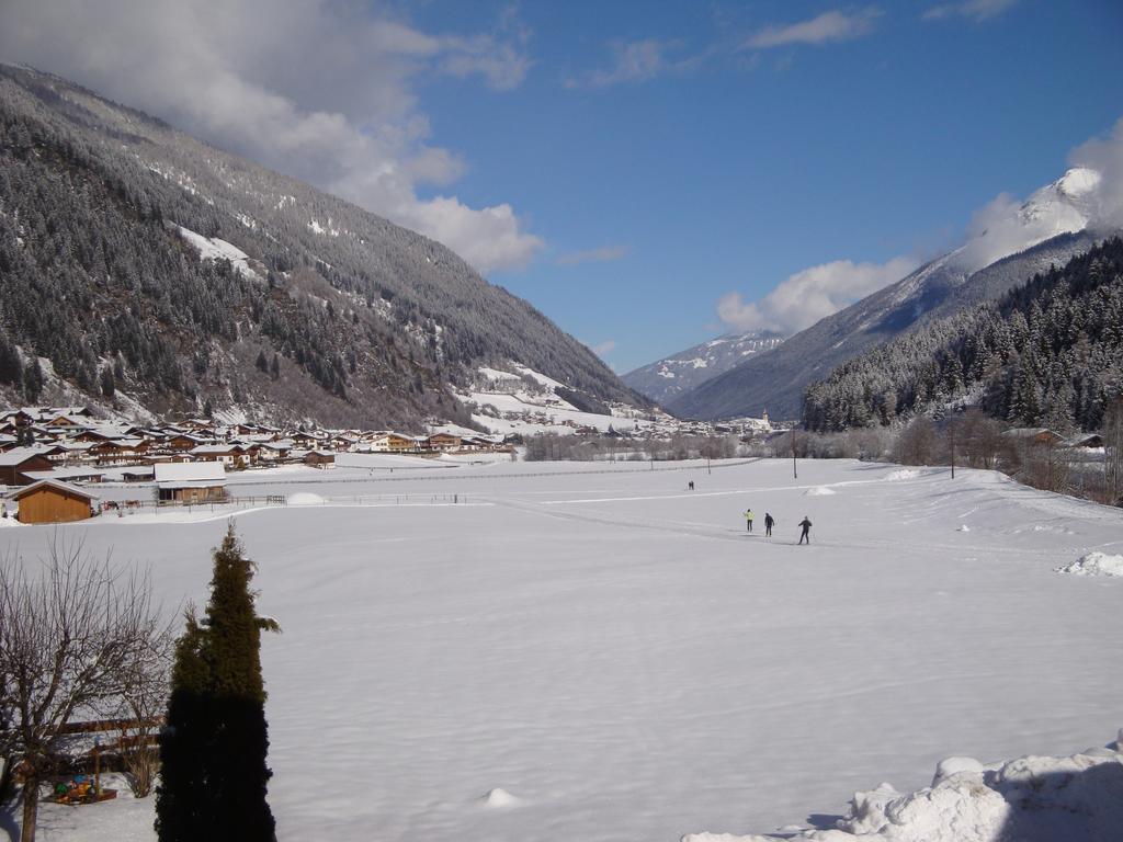 Alpenecho Apartment Neustift im Stubaital Luaran gambar